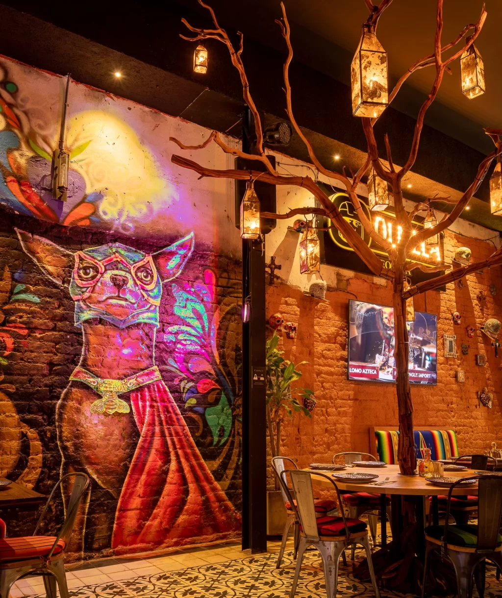 Cantina la 15, Granada